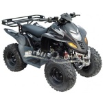 Квадроцикл Stels ATV 110 D - детский