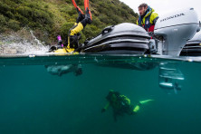 Лодочный мотор HONDA BF 20 SRTU