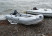 Лодка РИБ Water Way 300