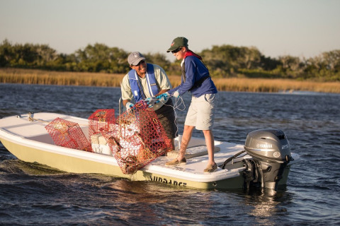 Лодочный мотор Ямаха F 25 GES