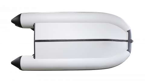 Моторно-гребная ProfMarine 320 CL