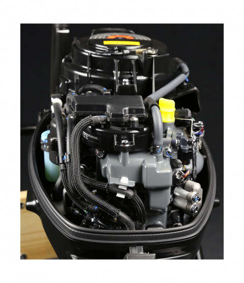 Лодочный мотор Suzuki DF 20 AL