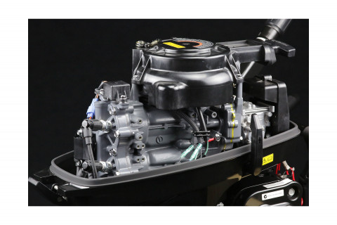 Лодочный мотор Suzuki DT 9.9 AS
