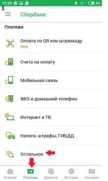 скрин-пример оплаты 1